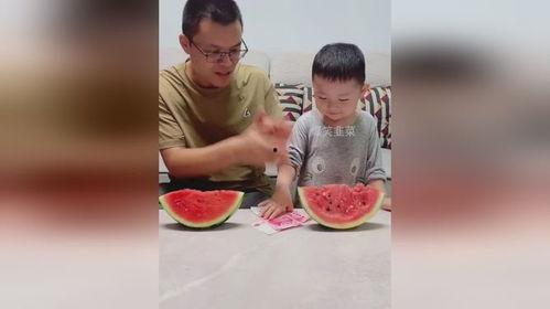 吃瓜父亲和儿子,吃瓜父亲与儿子的温馨日常