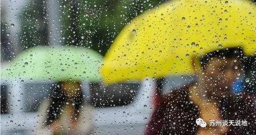 云夕吃瓜多雨,多雨天气下的趣味生活