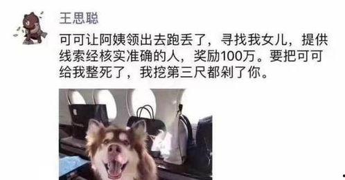 狗狗吃瓜日常分享,狗狗的夏日美食日常分享