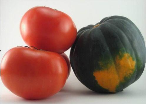 西红柿能和小瓜一起吃吗,健康美味两不误