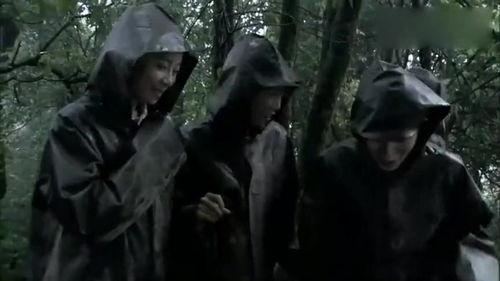 夙愿团长吃自己瓜,瓜田里的自我救赎之旅