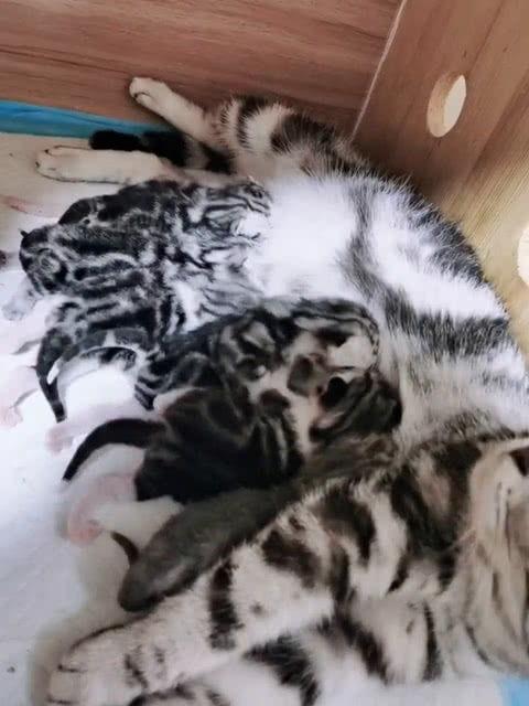 笑死吃瓜群众图片,盘点那些让人捧腹大笑的瞬间