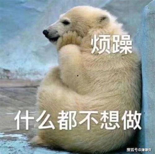 笑死吃瓜群众图片,盘点那些让人捧腹大笑的瞬间