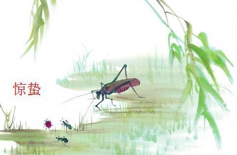 惊蛰吃凉瓜,传统习俗中的凉瓜美食之旅