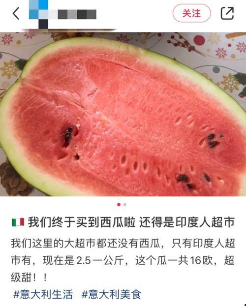 老外吃脆瓜,一场味蕾的探险之旅